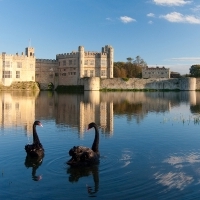 Leeds Castle